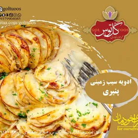 ادویه سیب زمینی سرخ کردنی پیاز و سبزیجات 300گرم