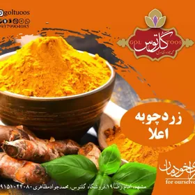 زردچوبه زرین 600گرم